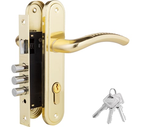 Дверной комплект PALIDORE LH 7036-59 SB, золото матовое 98760053