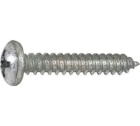 Саморез DIN7981-C оцинкованный 4,8x38 (упаковка 1000 шт) Wurth 0115204838228 1000