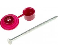 Кровельный гвоздь Госкреп 3,0x70 бордо, пакет 100 шт. 9-0016495