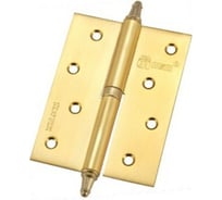 Съемные петли с колпачком MSM 100x75x2,5 мм, L левая, матовое золото, 2 шт. 100mm L4IК SG