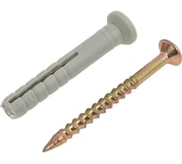 Дюбель-гвоздь Промрукав 6x40, 200 шт. PR08.3829