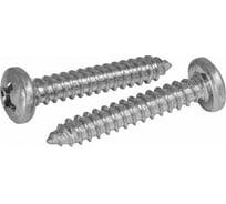 Саморез КВАДРА DIN 7981, 4.2x13 цинк, кор. 1000 шт., полусфера, шлиц PH2, острый 814213511000