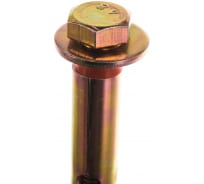 Болт анкерный с пластиковым кольцом 15 шт. (16х110 мм; М12) ЗУБР 4-302312-12-110