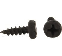 Саморезы оксидированные по листовому металлу 22000 шт. (3,5х11 мм; PH2; ТФ0) ЗУБР 4-300110-35-11