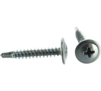 Саморезы с прессшайбой и сверлом по листовому металлу 12 шт. (4,2х25 мм; PH2) ЗУБР 4-300216-42-025