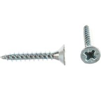 Шуруп универсальный для дерева 550 шт. (4х25 мм; PZ; ТФ1) Зубр 4-300371-40-025