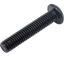 Винт ЦКИ ISO 7380, М5x25 10.9 ОКС 100 шт. 44308