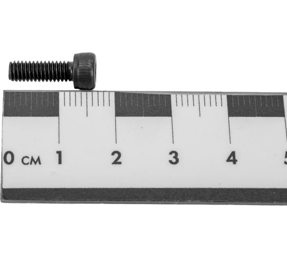 Винт ЦКИ DIN 912, М4x12, 12.9, ОКС, HEX 3.0, 500 шт. 6381