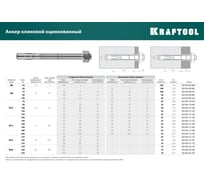 Клиновой анкер KRAFTOOL оцинкованный, М12x120, 25 шт. 302184-12-120
