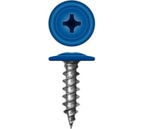 Саморез c пресс-шайбой HARDWEX ТМ HWX1-SP-4.2x13 мм, RAL 5005, 1000 шт. 3000000000755