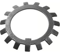 Стопорная шайба ЦКИ DIN 5406, d10 MB0 многолапчатая для DIN 981, б/п, 20 шт. 25647