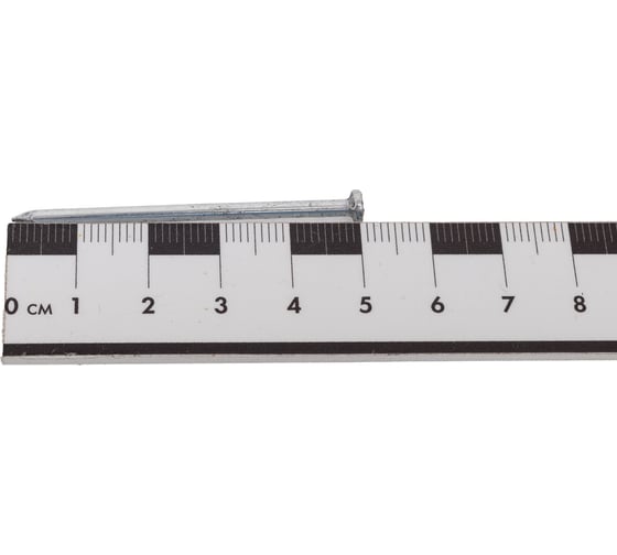 Строительный гвоздь Невский Крепеж цинк, 2,5x50, 300 г 802043