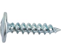 Саморез Невский Крепеж ШСММ 4,2x19 90 шт. 827642