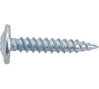 Саморез Невский Крепеж ШСММ 4,2x25 1000 шт. 194770