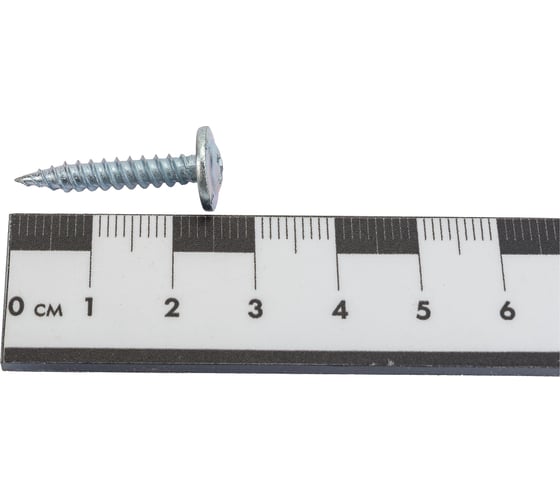 Саморез Невский Крепеж ШСММ 4,2x25 1000 шт. 194770