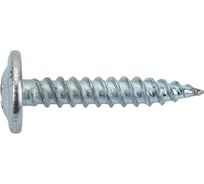 Саморез Невский Крепеж ШСММ 4,2x25 200 шт. 802075