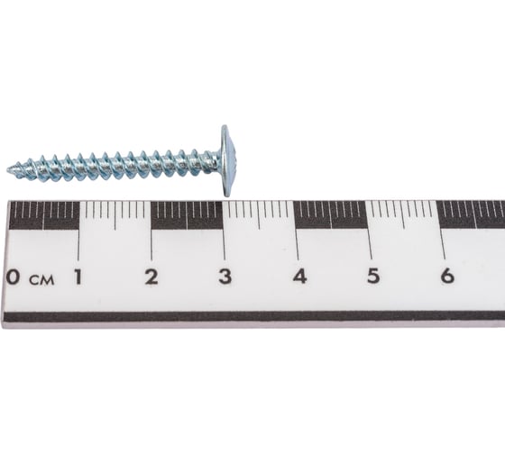 Саморез Невский Крепеж ШСММ 4,2x32 10 шт. 802304