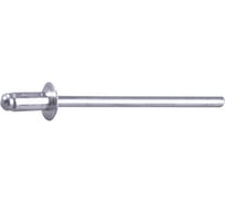 Заклепки алюминиевые 1000 шт. (4,8х10 мм) STAYER 31205-48-10