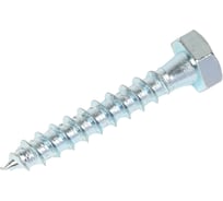 Шестигранный шуруп STARFIX 10x60 мм, цинк, DIN 571, 2 шт. SMZ1-63731-2