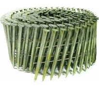 Барабанные гвозди Кордленд 300 шт. Ø 2,5 мм, длина 65 мм, Ø шляпки 6,5 мм, ершеные GVB-00016.1