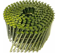 Барабанные гвозди Кордленд 250 шт. Ø 3,1 мм, длина 100 мм, Ø шляпки 7 мм, гладкие GVB-00033.1