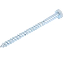 Сантехнический шуруп Невский Крепеж DIN 571, 10x120 2 шт. 800479
