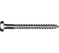 Сантехнический шуруп Невский Крепеж DIN 571, 8x50 2 шт. 802463