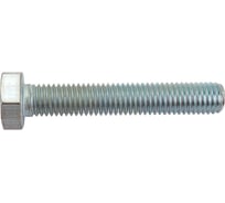 Болт Невский Крепеж DIN 933, с шестигранной головкой, цинк, М10x60 1 кг 830835