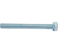 Болт Невский Крепеж DIN 933, с шестигранной головкой, цинк, М10x100 1 кг 830837