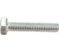 Болт Невский Крепеж DIN 933, с шестигранной головкой, цинк, М6x30 1 кг 830303