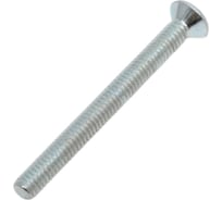 Винт с потайной головкой Невский Крепеж DIN 965 цинк, М4x40, 9 шт. 823788