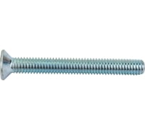 Винт с потайной головкой Невский Крепеж DIN 965 цинк, М6x50, 6 шт. 802769