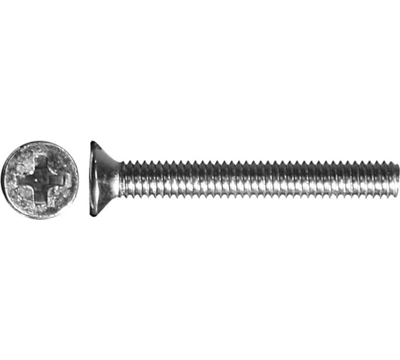 Винт с потайной головкой Невский Крепеж DIN 965 цинк, М6x80, 4 шт. 802771 1