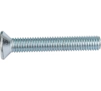 Винт с потайной головкой Невский Крепеж DIN 965 цинк, M8x50, 6 шт. 812244