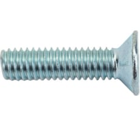 Винт с потайной головкой Невский Крепеж DIN 965 цинк, M4x16, 1 кг 830416