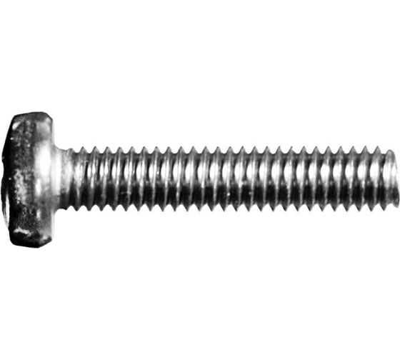 Винт Невский Крепеж DIN 7985, с полукруглой головкой, цинк, M3x6 1 кг 830452