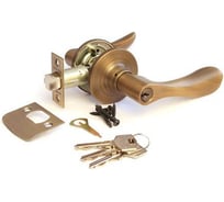 Защелка APECS 0891-01-AN 13228