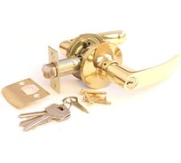 Защелка APECS 8082-01-G 09295