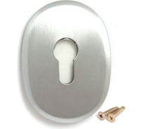 Декоративная накладка APECS DP-C-10-S 17191