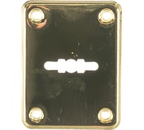 Декоративная накладка APECS DP-S-01-G 16341