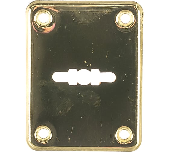 Декоративная накладка APECS DP-S-01-G 16341 1