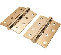 Петля APECS 10070-B4-Steel-GM 2шт 13729 00013729