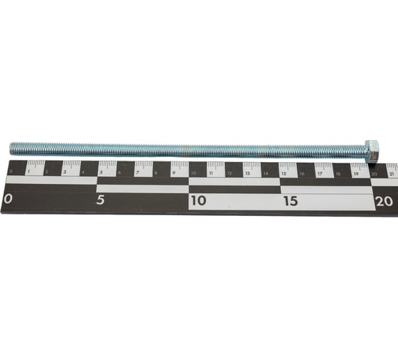 Болт ЦКИ DIN 933 М8x200 8.8 Ц SW13 10 шт. 26823