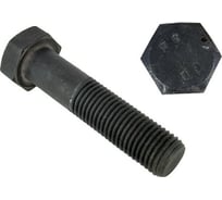 Болт ЦКИ DIN 960 М12x1.5x80 10.9 ОКС SW19 10 шт. 47965