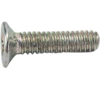 Винт ЦКИ DIN965 М2x8 Ц Ph1 500 шт. 6856