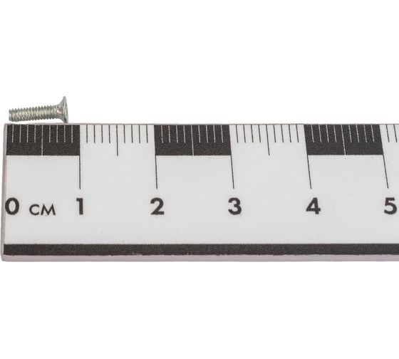Винт ЦКИ DIN965 М2x8 Ц Ph1 500 шт. 6856