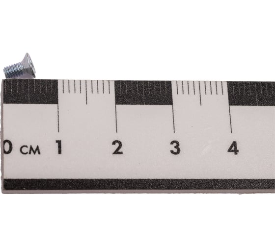 Винт ЦКИ DIN965 М2.5x5 Ц Ph1 500 шт. 26819