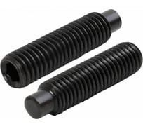 Установочный винт ЦКИ DIN915 М4x8 45H ОКС HEX2 200 шт. 24253