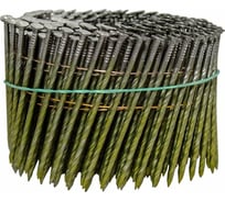 Барабанные гвозди Кордленд 6000 шт. (24 кассеты по 250 шт.) Ø 3,1 мм, длина 60 мм, Ø шляпки 7 мм, винтовые GVB-00038.24