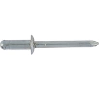 Вытяжная заклепка Wurth сталь-сталь ISO15979 A2K (3-5), 3,2x8 мм, 500 шт. 09352328 005 500